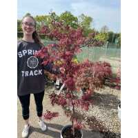 Read Grasslands Nursery Reviews