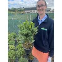 Read Grasslands Nursery Reviews