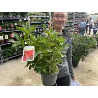 Read Grasslands Nursery Reviews