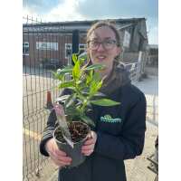 Read Grasslands Nursery Reviews