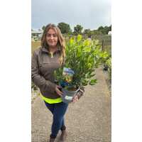 Read Grasslands Nursery Reviews