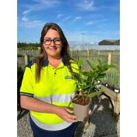 Read Grasslands Nursery Reviews