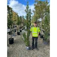 Read Grasslands Nursery Reviews