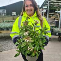 Read Grasslands Nursery Reviews