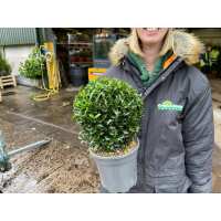 Read Grasslands Nursery Reviews