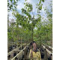 Read Grasslands Nursery Reviews