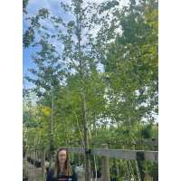 Read Grasslands Nursery Reviews