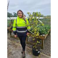 Read Grasslands Nursery Reviews