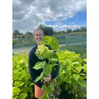 Read Grasslands Nursery Reviews