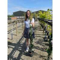 Read Grasslands Nursery Reviews