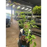 Read Grasslands Nursery Reviews