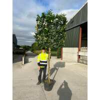 Read Grasslands Nursery Reviews