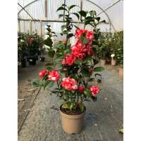 Read Grasslands Nursery Reviews