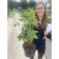 Read Grasslands Nursery Reviews