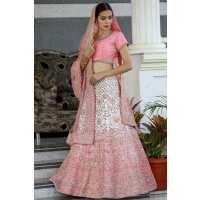 Read Samyakk.com Reviews