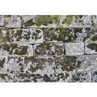 Read Promain UK Reviews