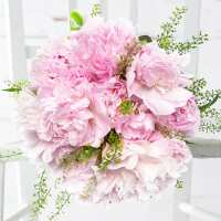 Read Appleyard London Reviews