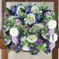 Read Appleyard London Reviews