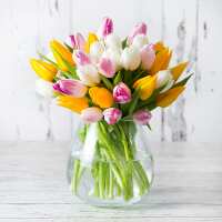 Read Appleyard London Reviews