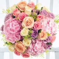 Read Appleyard London Reviews