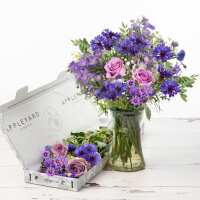 Read Appleyard London Reviews