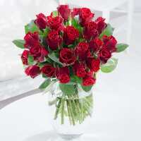 Read Appleyard London Reviews