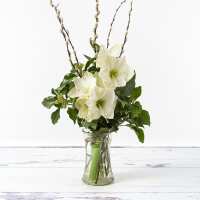 Read Appleyard London Reviews
