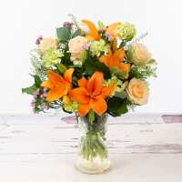 Read Appleyard London Reviews