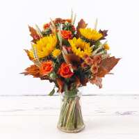 Read Appleyard London Reviews