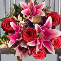 Read Appleyard London Reviews