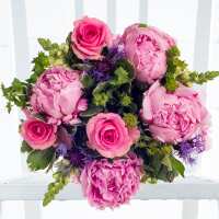 Read Appleyard London Reviews