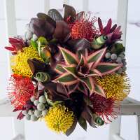 Read Appleyard London Reviews