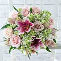 Read Appleyard London Reviews