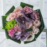 Read Appleyard London Reviews