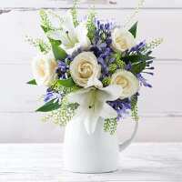 Read Appleyard London Reviews