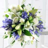 Read Appleyard London Reviews