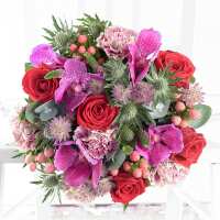 Read Appleyard London Reviews