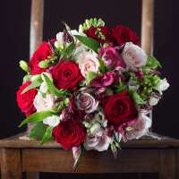 Read Appleyard London Reviews