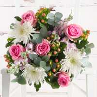 Read Appleyard London Reviews