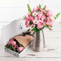 Read Appleyard London Reviews