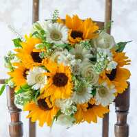 Read Appleyard London Reviews