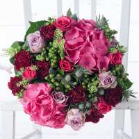 Read Appleyard London Reviews