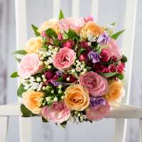 Read Appleyard London Reviews