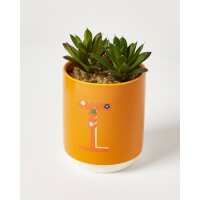 Read Oliver Bonas Reviews