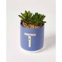 Read Oliver Bonas Reviews