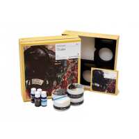 Read AlzProducts Reviews