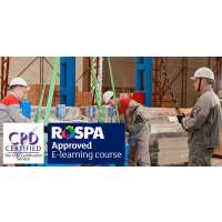 Read High Speed Training Reviews