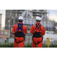 Read High Speed Training Reviews
