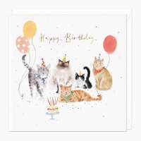 Read Whistlefish Reviews