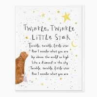 Read Whistlefish Reviews